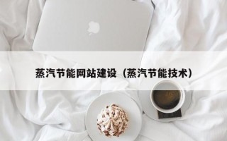 博罗蒸汽节能网站建设（蒸汽节能技术）